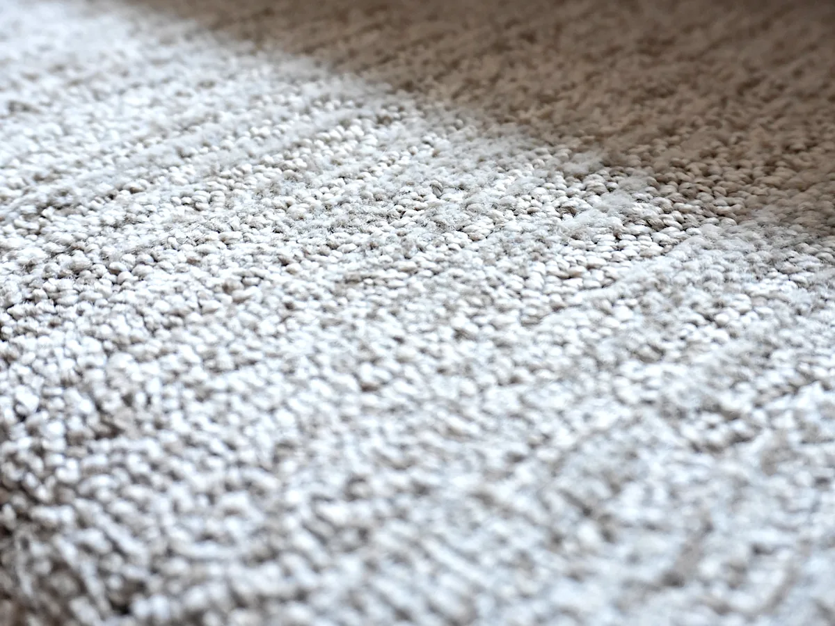 Plush carpet texture installed by Pocatello Flooring